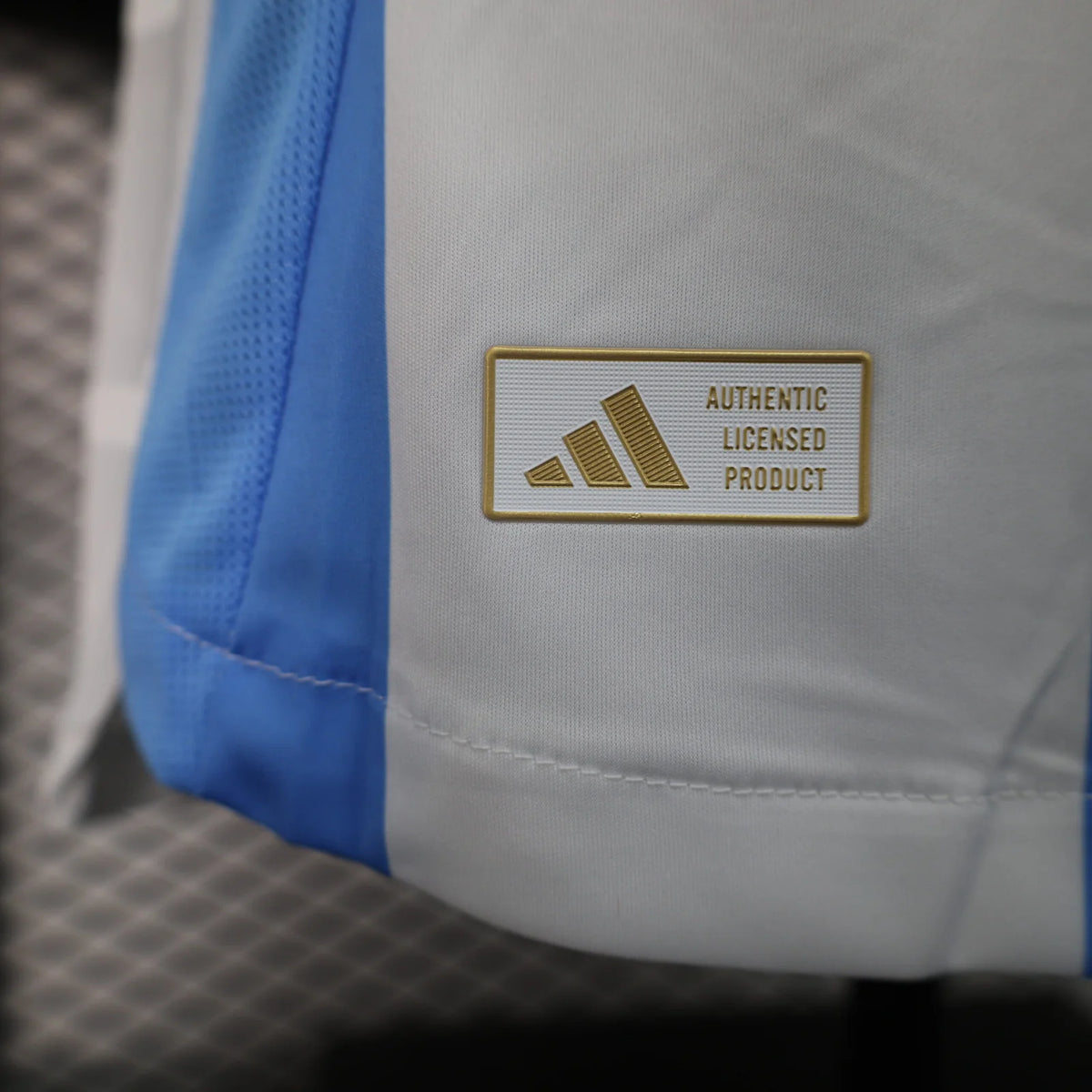 Argentina 2024-25 Home Player Version Short Sleeve Jersey #22 L.Martinez Personalized S-2XL