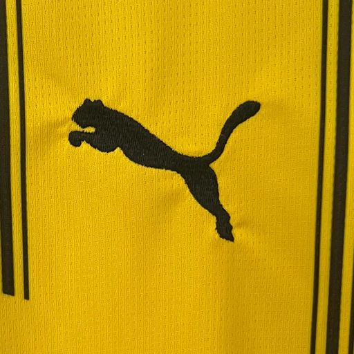 Borussia Dortmund 2024-2025 Home Jersey